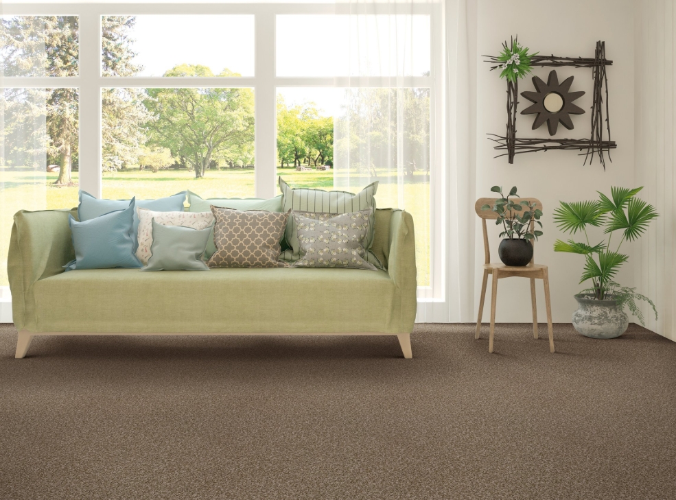 carpet with green couch, plant in right corner, window
